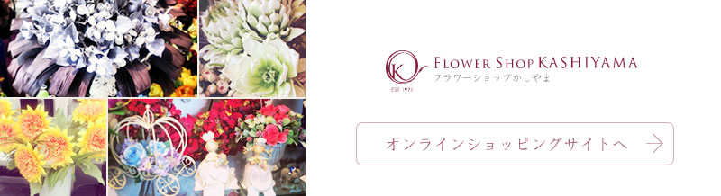 オンラインショッピングサイトはこちら